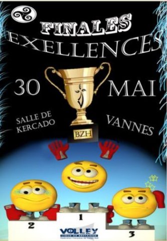 LBVB_FinalesExcellence_2010_Affiche
