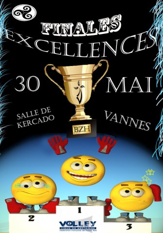 LBVB_FinalesExcellence_2010_Affiche_Grande